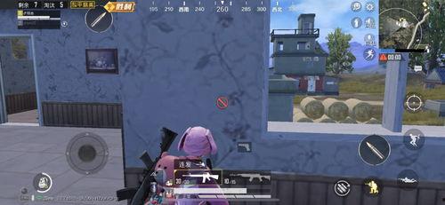 吃鸡老麻瓜,从菜鸟到高手的进阶之路