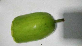 浦瓜可以连皮吃吗,健康美味两不误