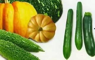 苏北夏天吃的瓜,夏日消暑瓜类大盘点