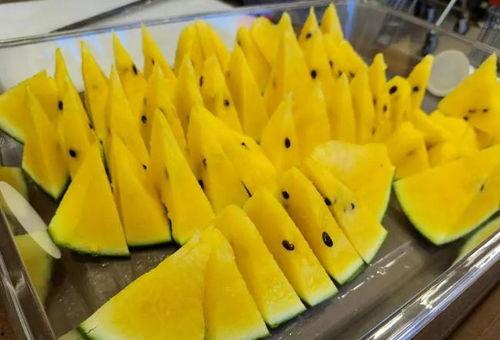 青姨吃瓜,揭秘娱乐圈那些不为人知的幕后故事