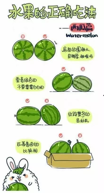 文明吃瓜的方式,探索高雅吃瓜之道