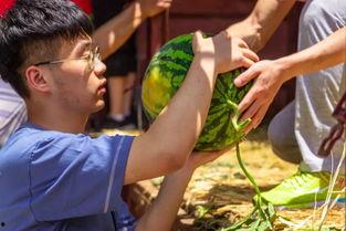 大学吃瓜故事,那些年我们一起吃瓜的故事