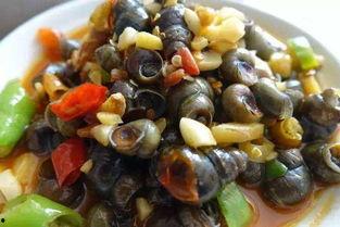 螺蛳吃瓜的视频,一场趣味横生的美食盛宴