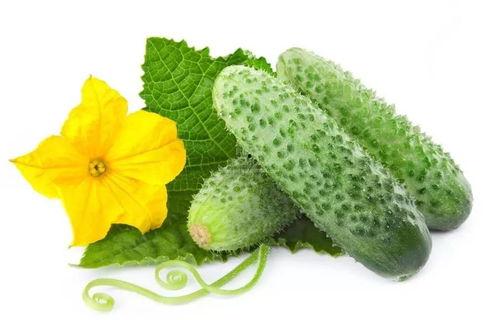 林果果吃瓜系统,揭秘瓜果世界的趣味之旅